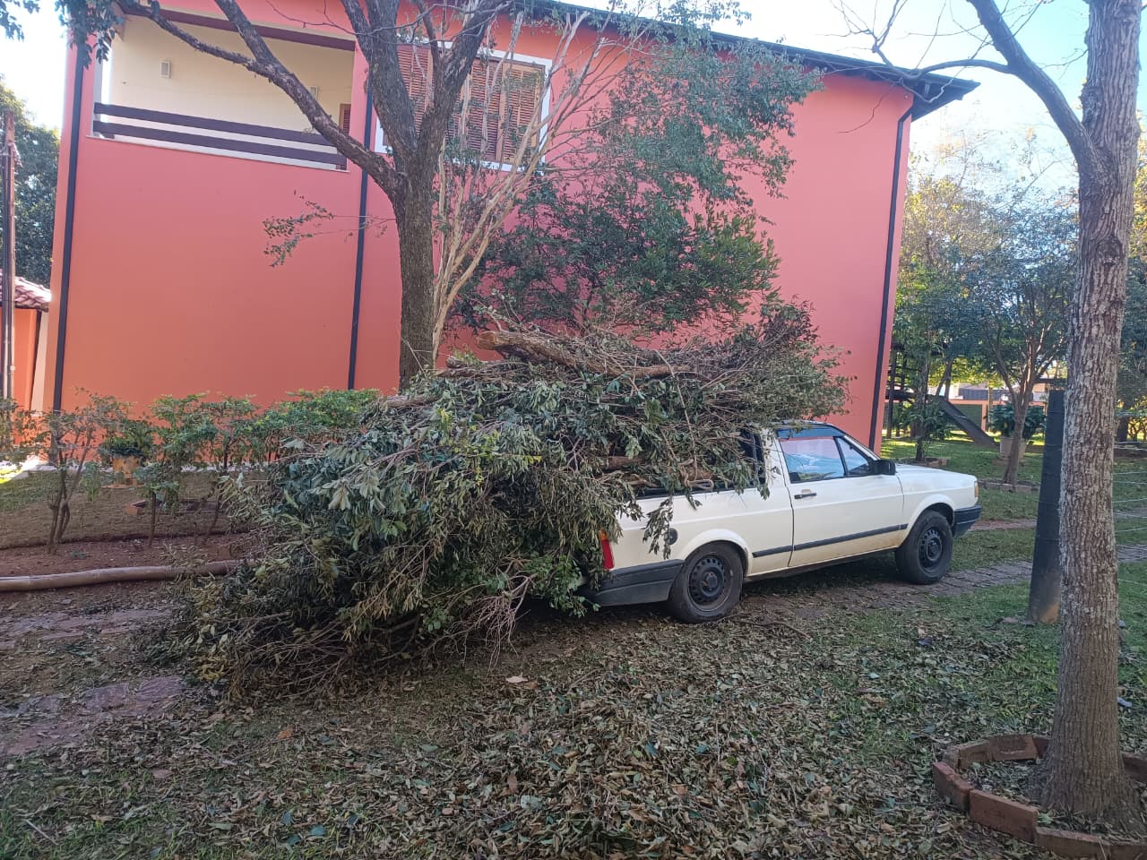 Caminhão retirando restos de árvores após o serviço